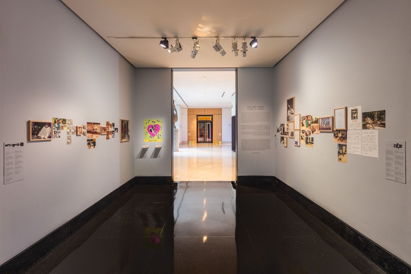 Expo Yves Saint Laurent et ses chiens