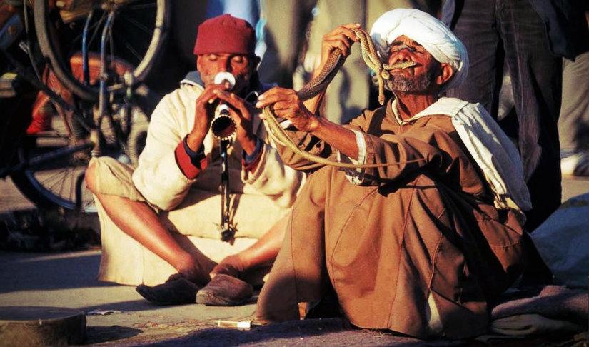 Snake charmers