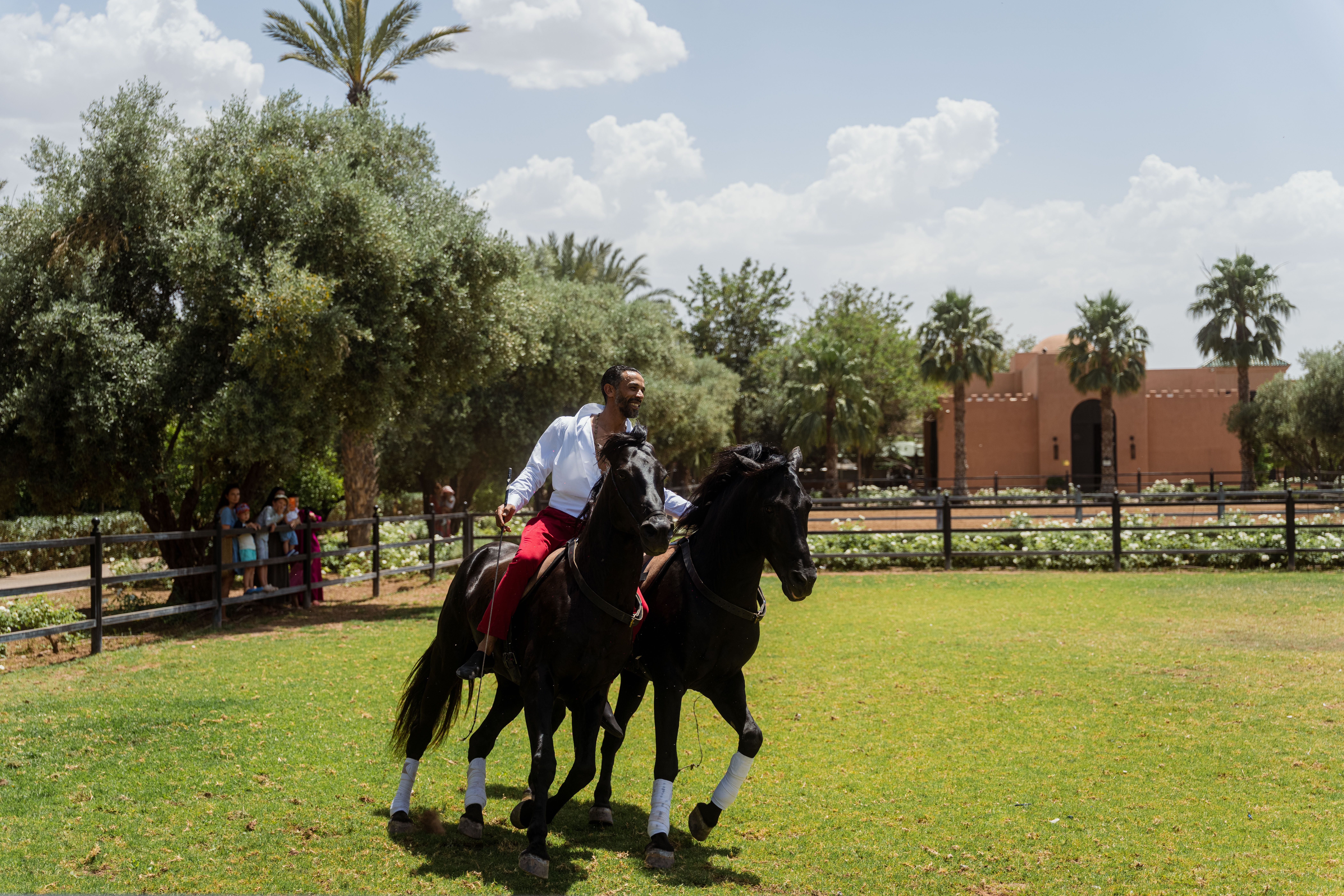 Sadek - Selman Marrakech