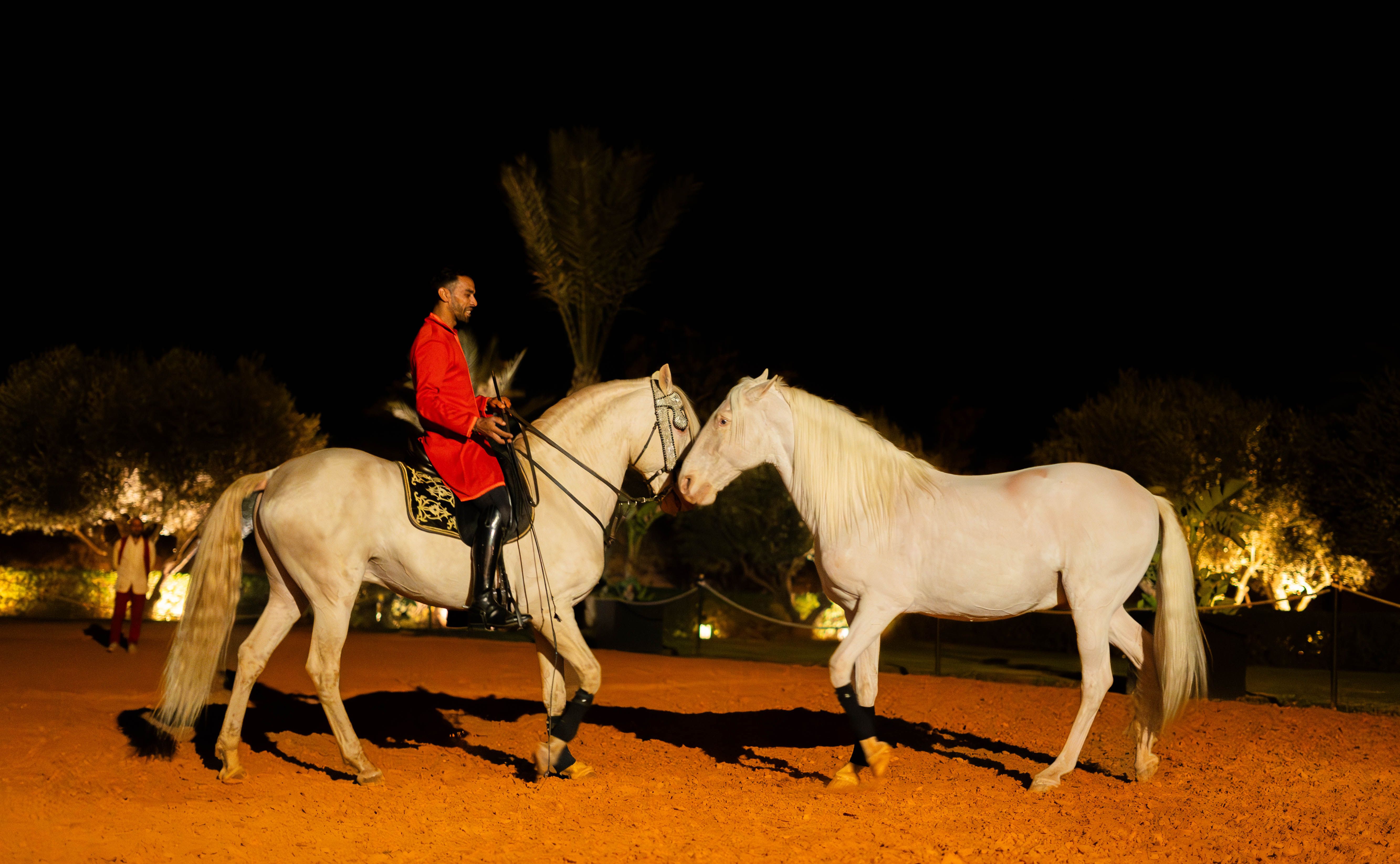 Spectacle by Sadek.JPG